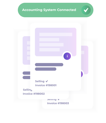 accountingSystem accountingSystem